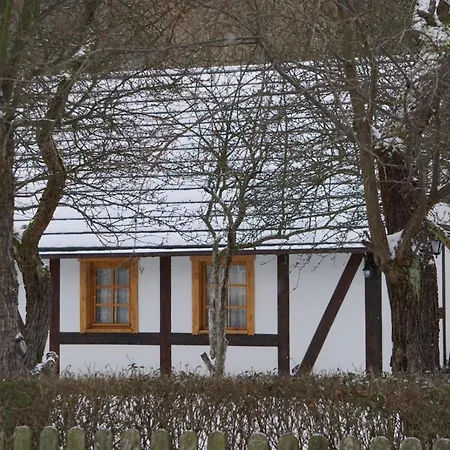 Gorski Sad - Bazylia Chalet