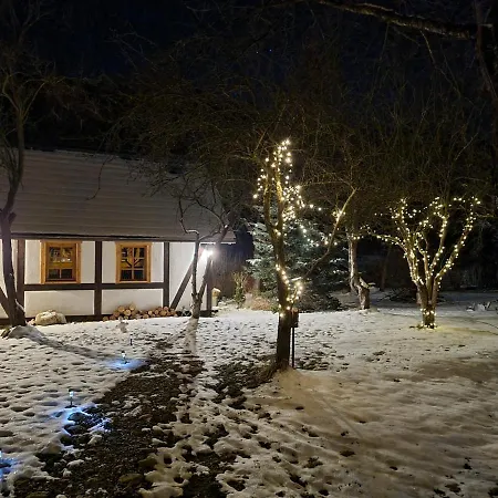 Gorski Sad - Bazylia