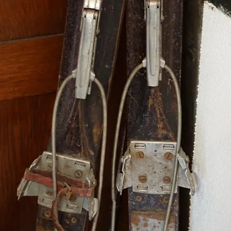 Gorski Sad - Bazylia * Пеховице