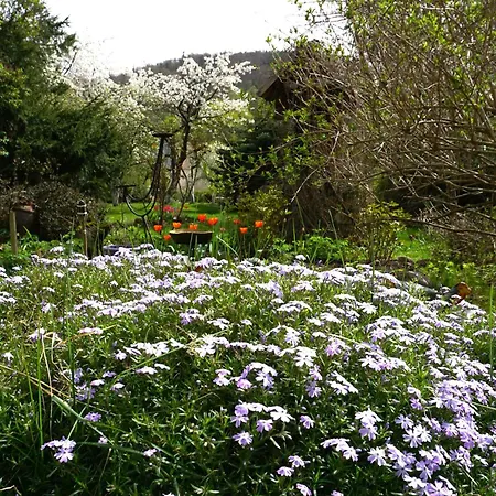 Gorski Sad - Bazylia Piechowice (Karkonosze)