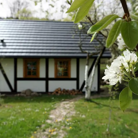 Górski Sad - Bazylia