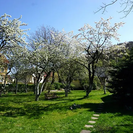 Gorski Sad - Bazylia Шале