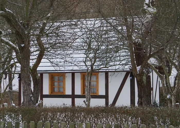 Gorski Sad - Bazylia Horská chata