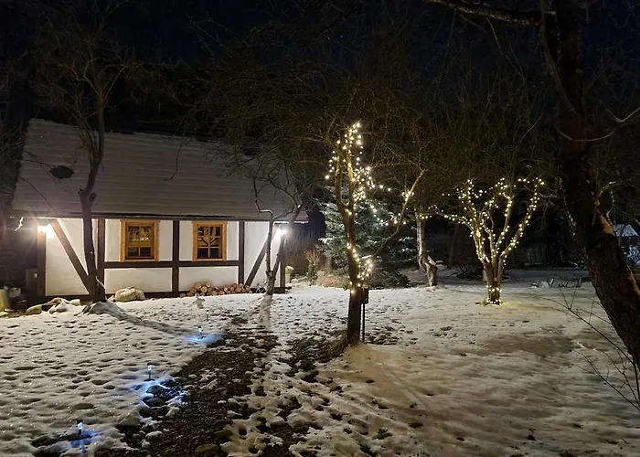 Gorski Sad - Bazylia