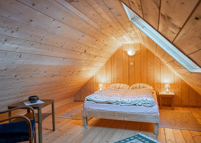 Gorski Sad - Bazylia *