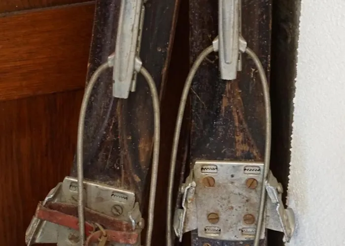 Gorski Sad - Bazylia * 피에초비체