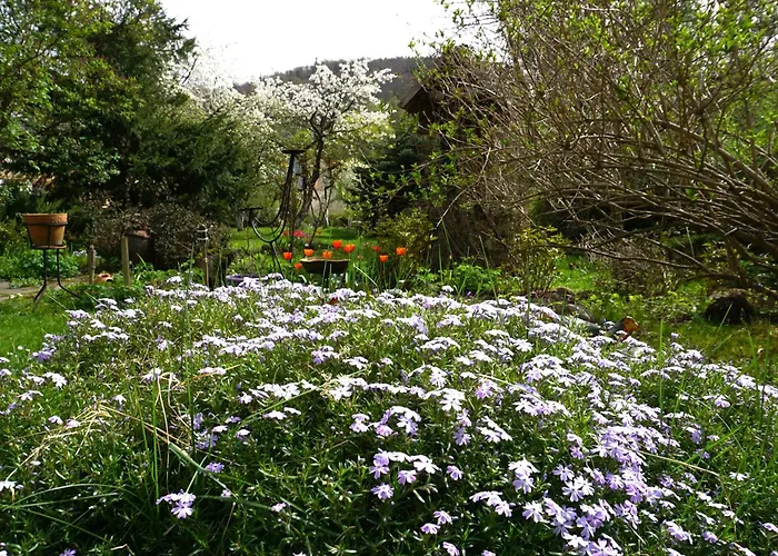 Gorski Sad - Bazylia Piechowice (Karkonosze)