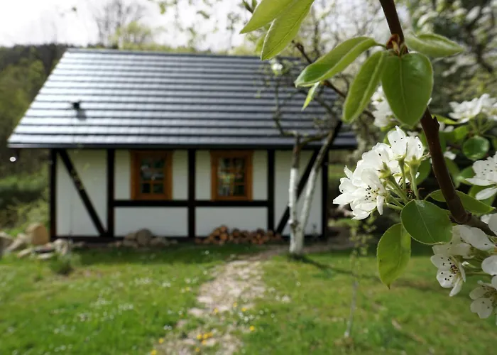 Gorski Sad - Bazylia