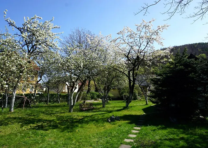 Gorski Sad - Bazylia 샬레